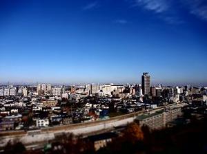 PC010174-11.jpg