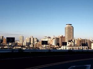 PC010245-11.jpg