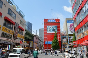 DSC_0015.jpg